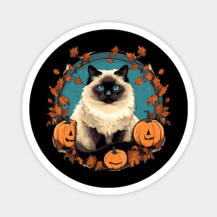 Birman Cat Halloween, Cat Lover Magnet